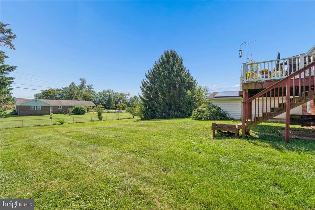 Spacious grassy backyard with a mature evergreen and raised wooden deck and stairs.