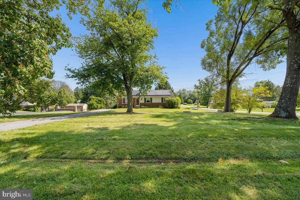 Single-story brick house beyond a broad lawn, framed by mature trees beside a curving road.