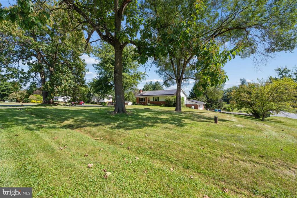 House beyond a broad lawn shaded by large mature trees.