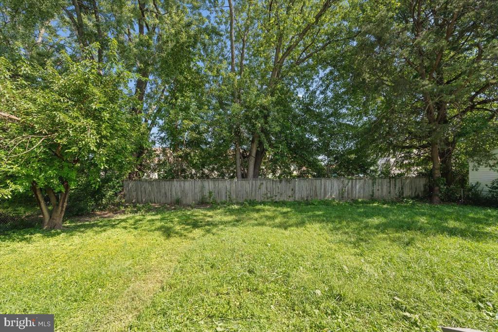 Grassy backyard shaded by mature trees, with a wooden privacy fence.
