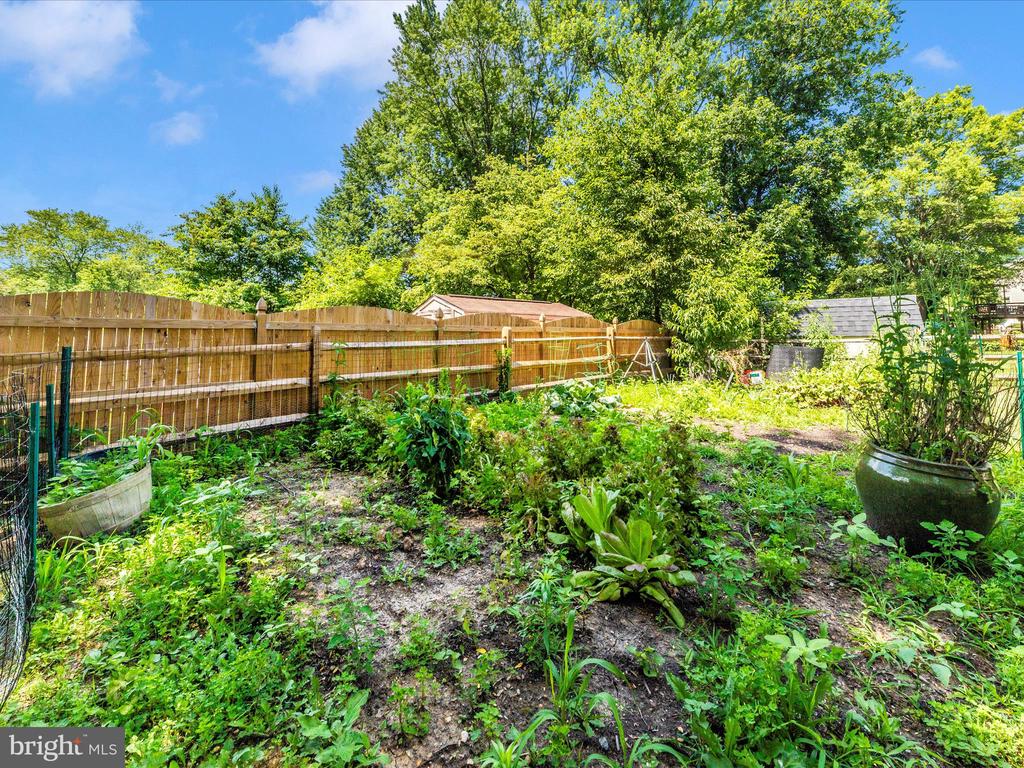 24129 PECAN GROVE LANE