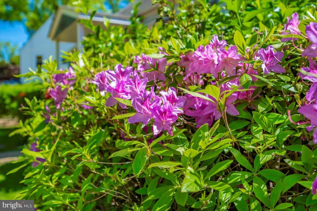 13205 OKINAWA AVENUE