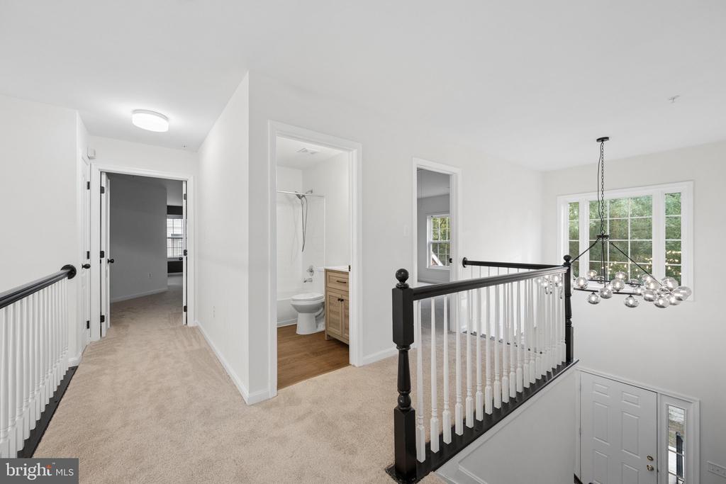 2408 GREEN GINGER CIRCLE