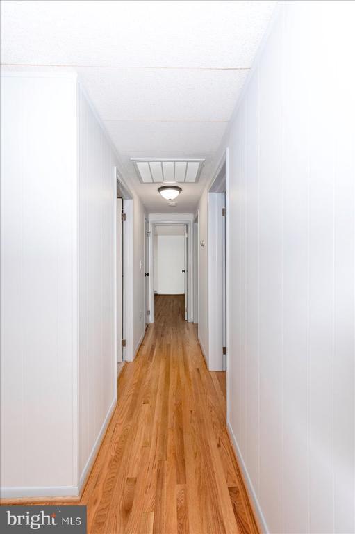 6 SCHALLER LANE