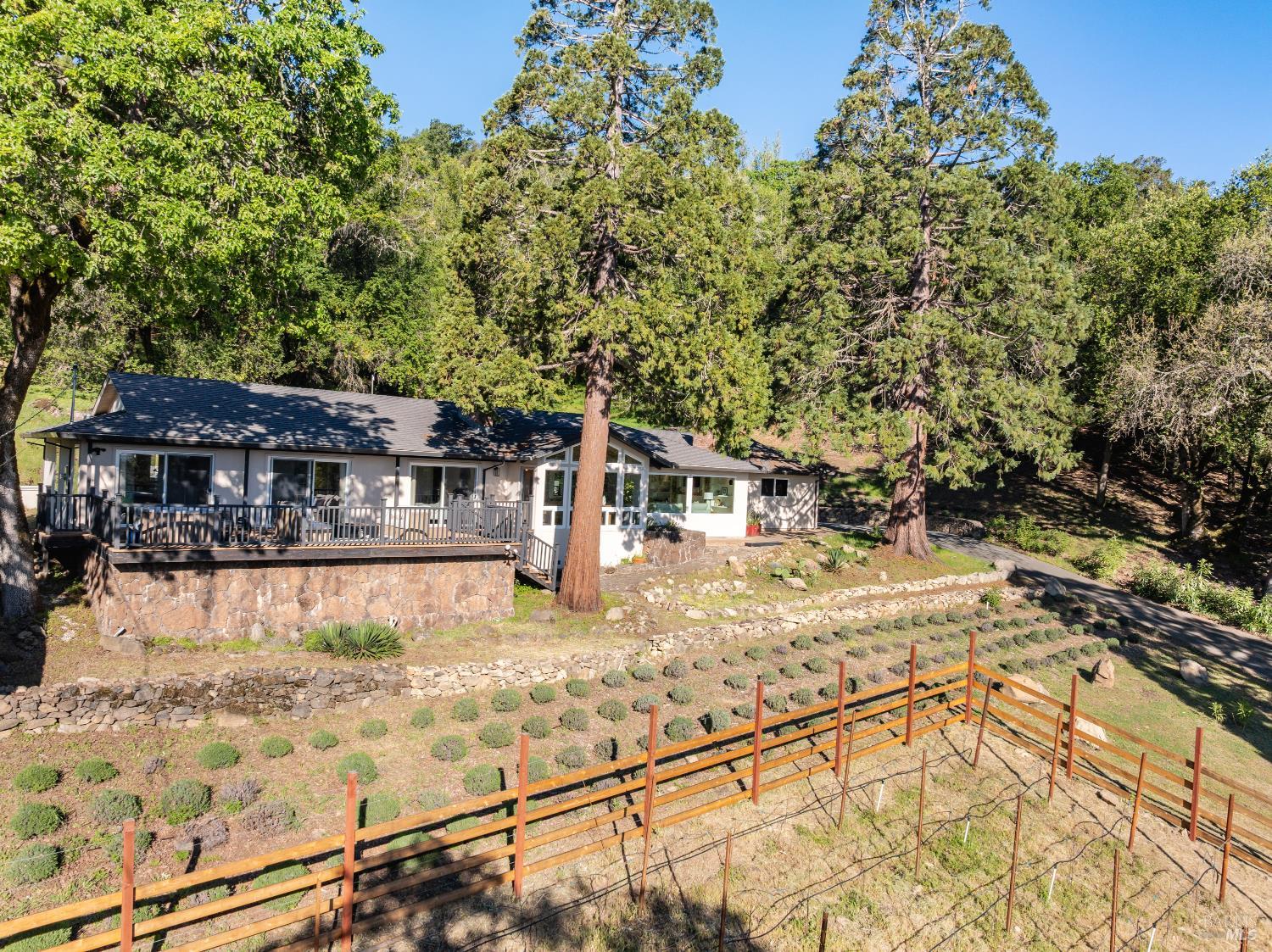 18986 Sweet William Court