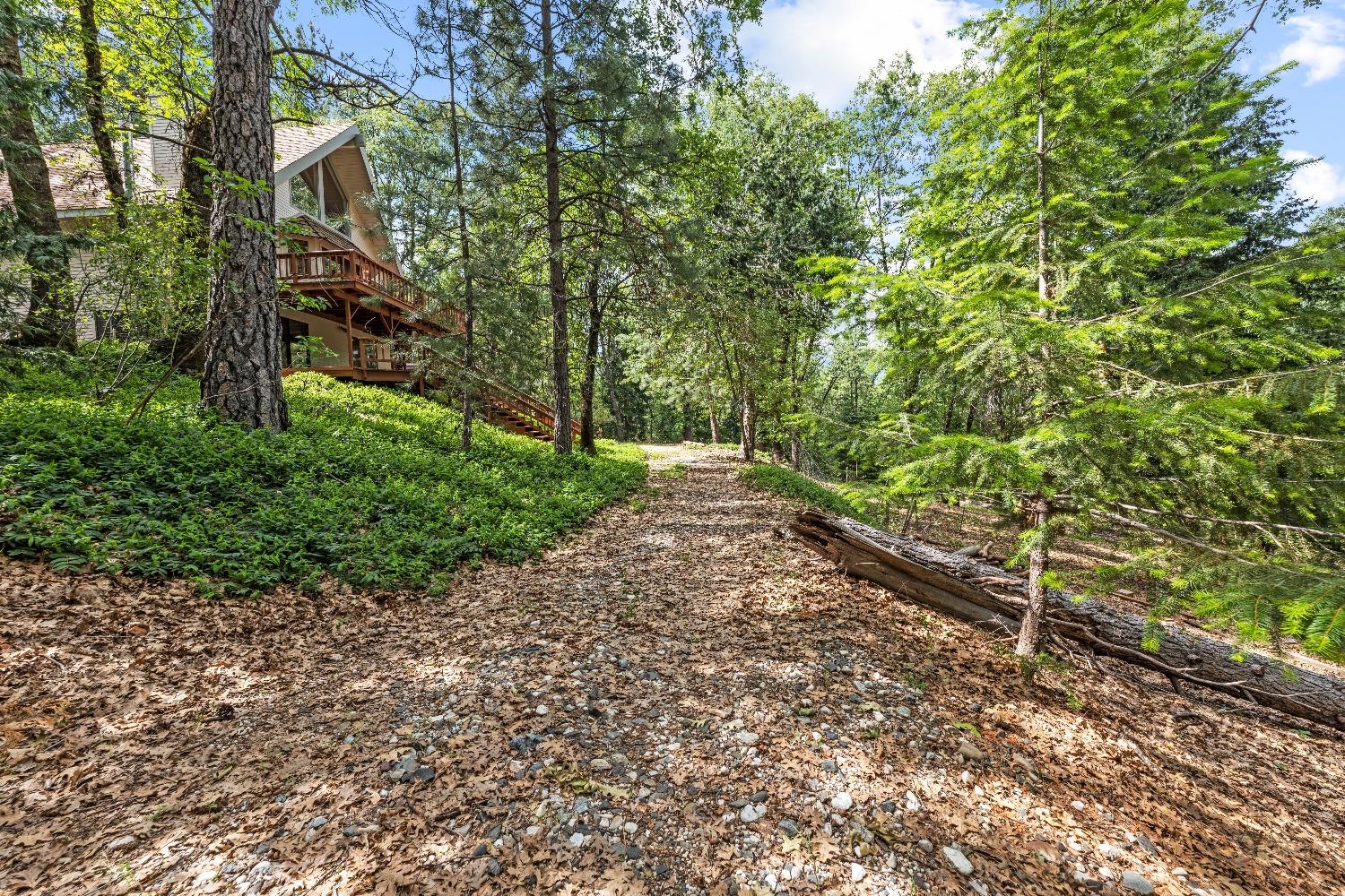 14524 Dalmatian Drive