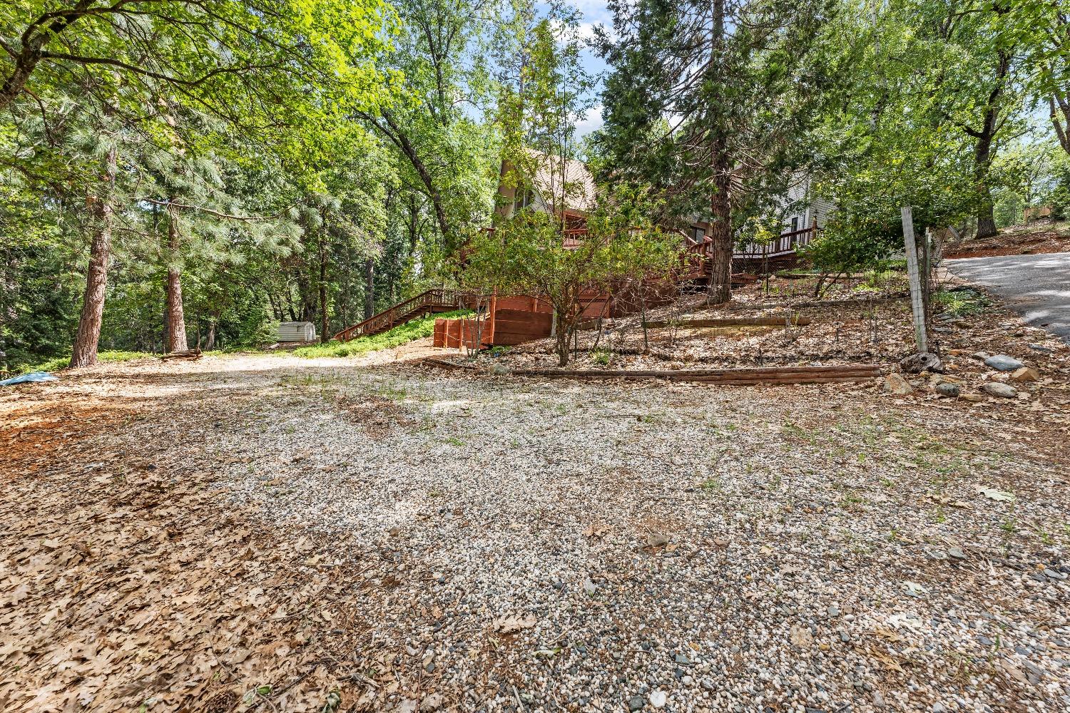 14524 Dalmatian Drive