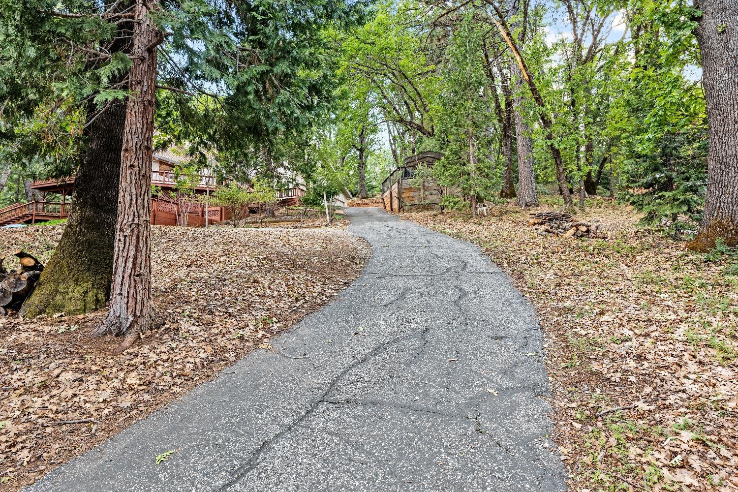 14524 Dalmatian Drive