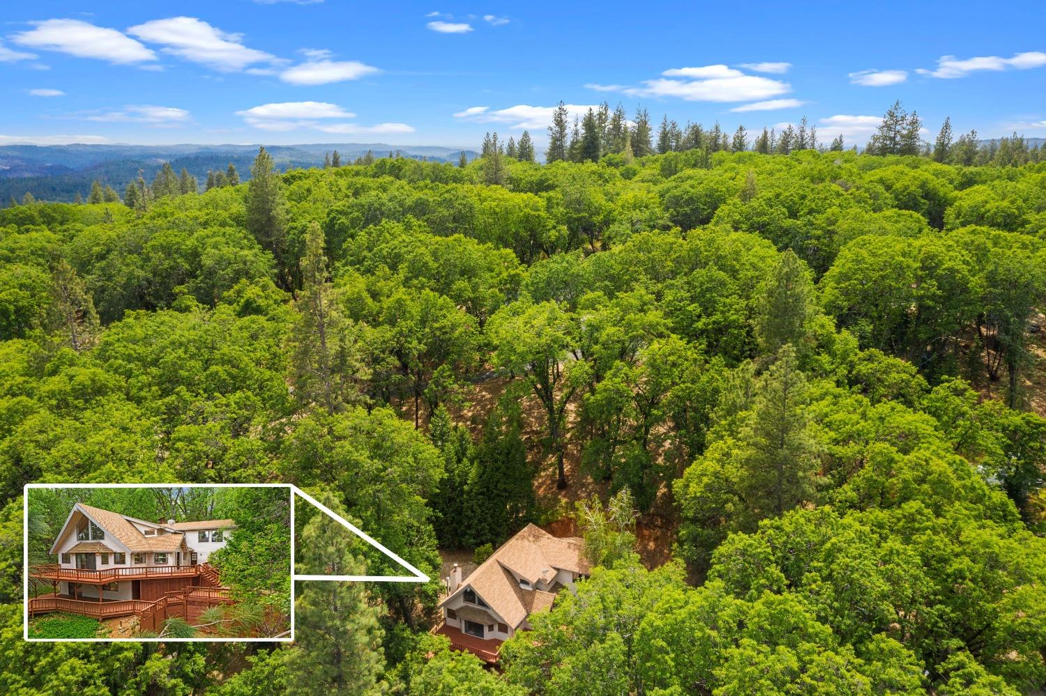 14524 Dalmatian Drive