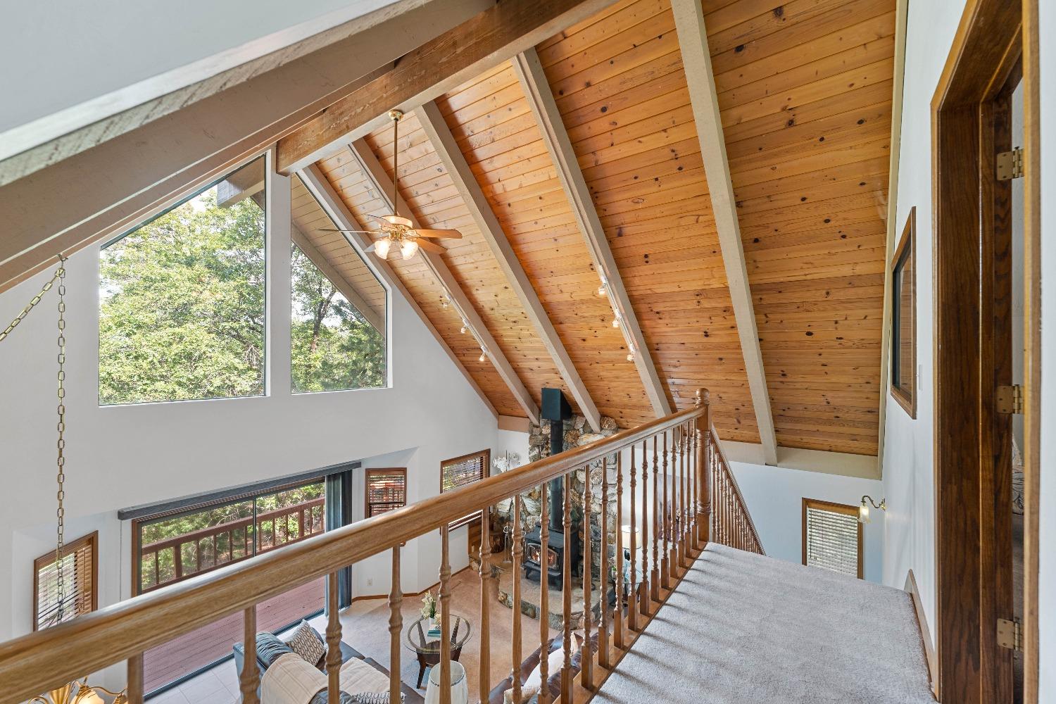 14524 Dalmatian Drive