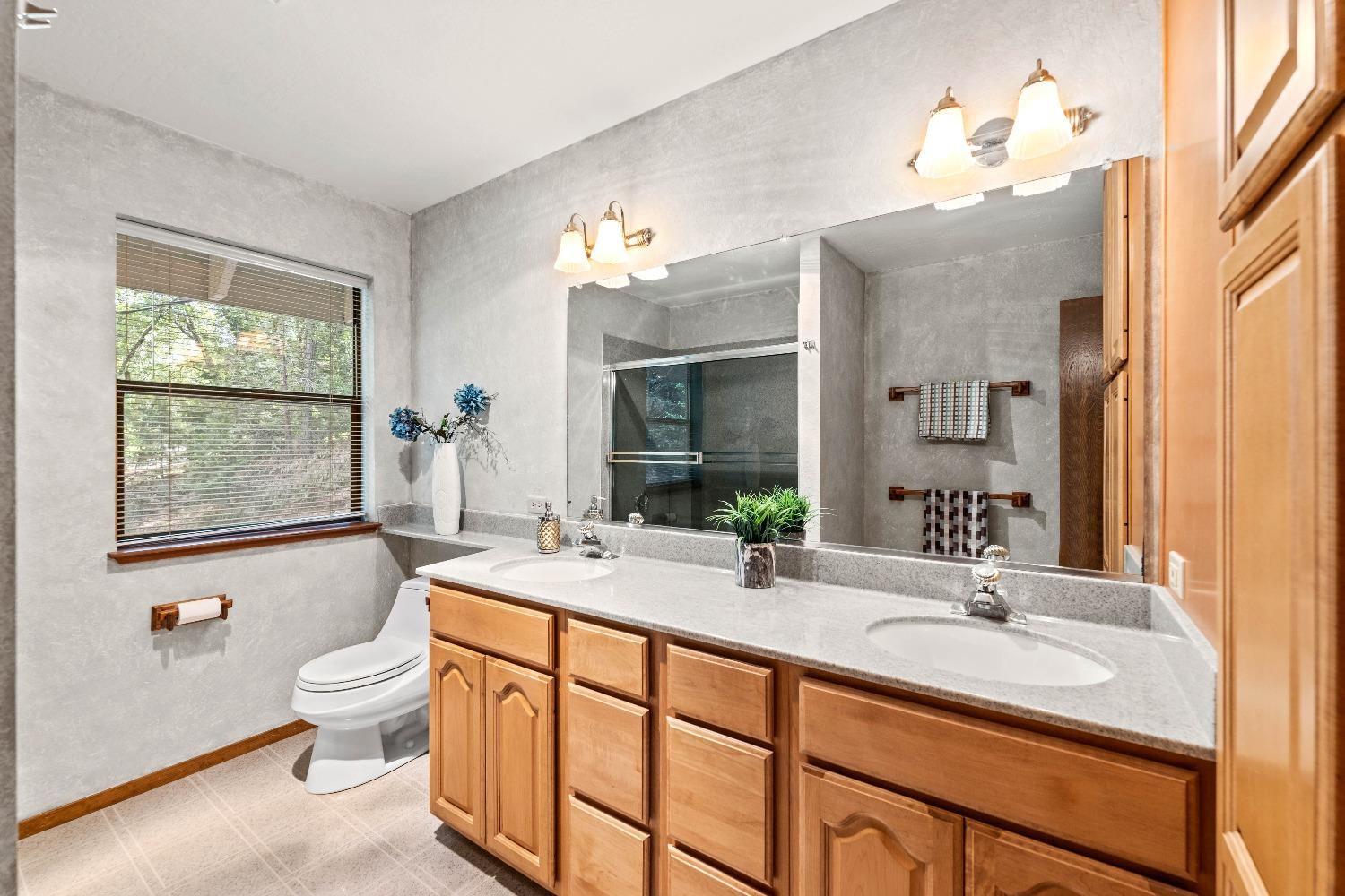 14524 Dalmatian Drive