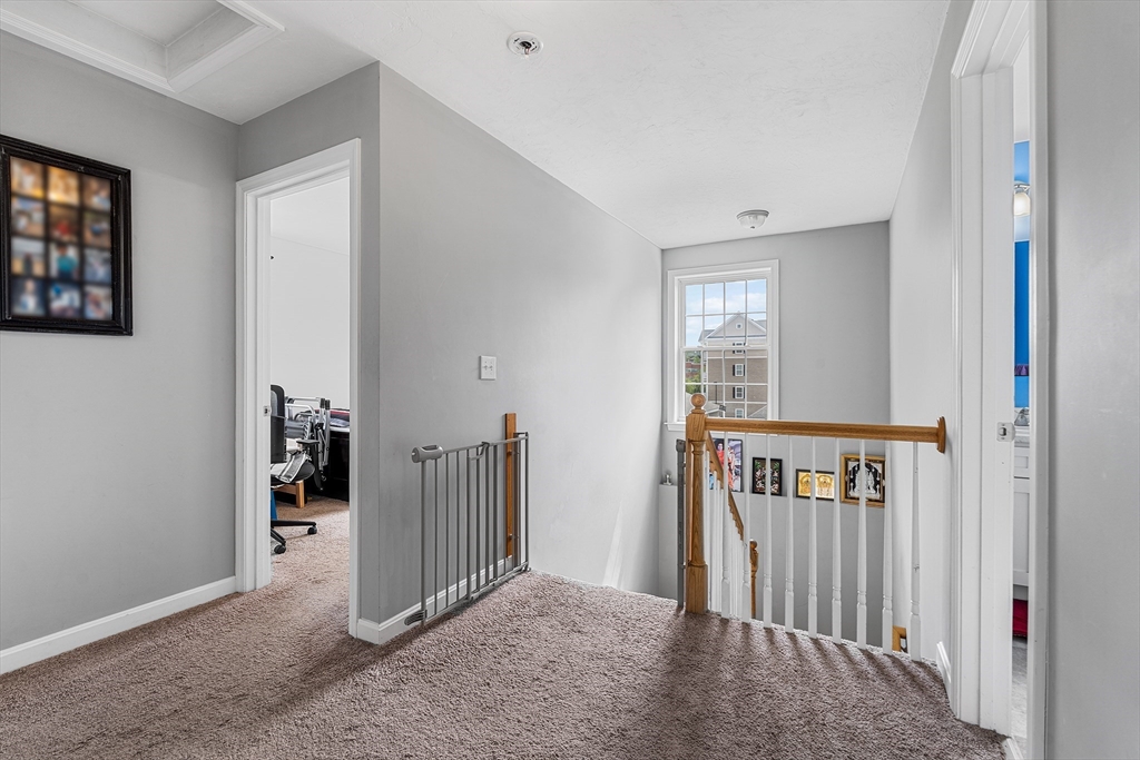 20 Boxwood Dr