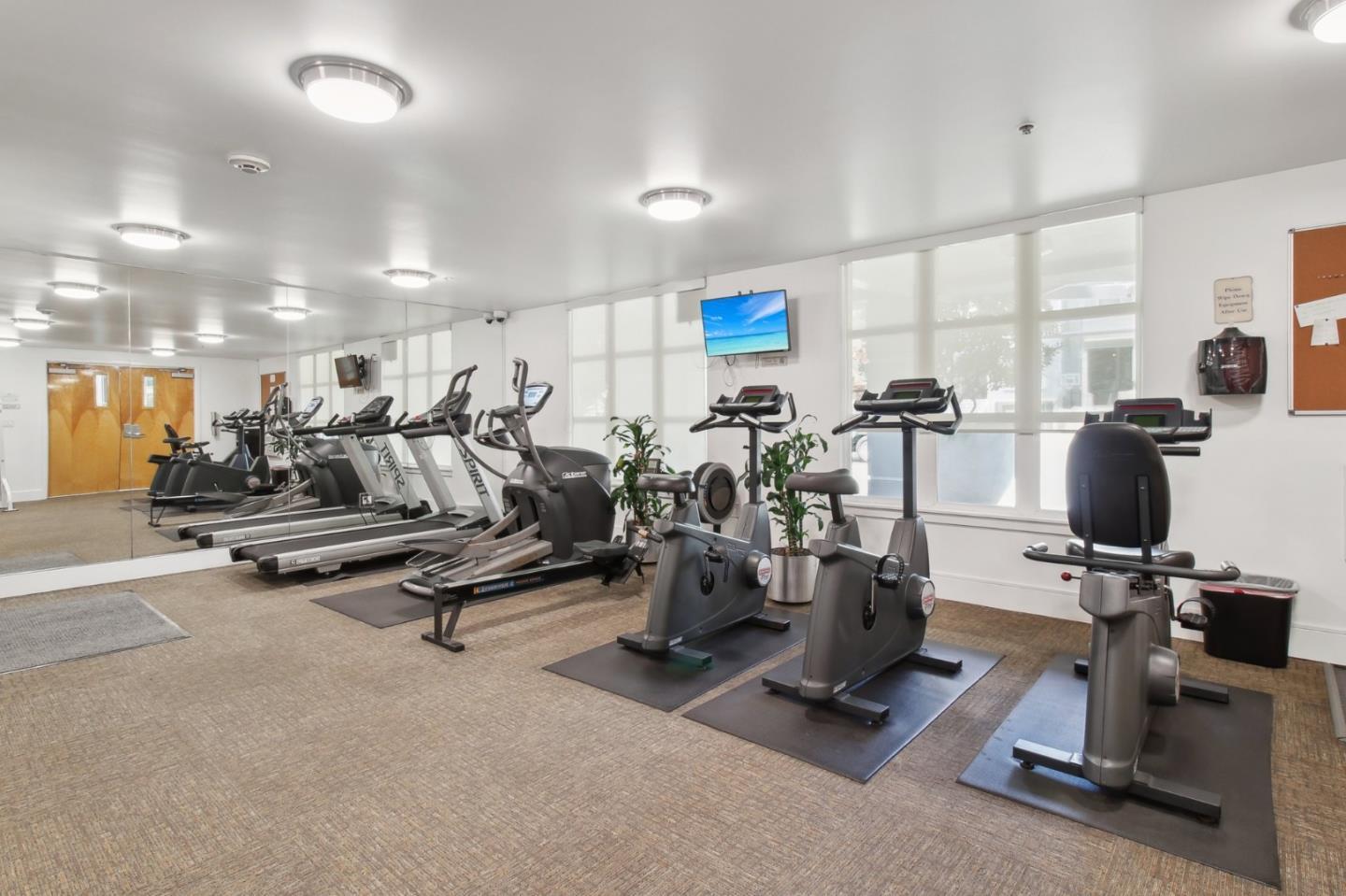 2001 Mcallister ST 255