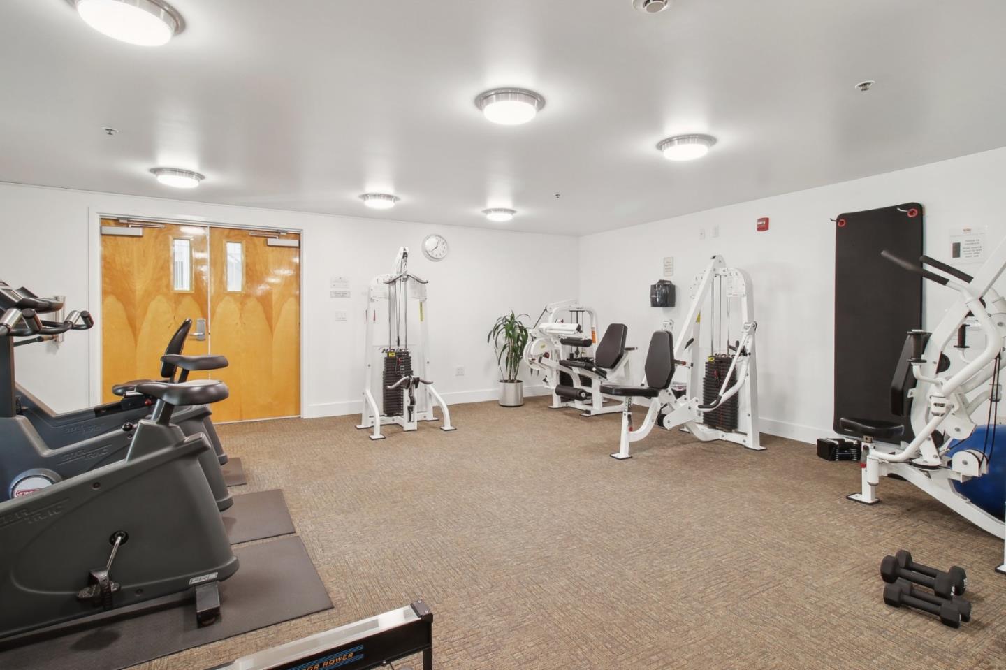 2001 Mcallister ST 255