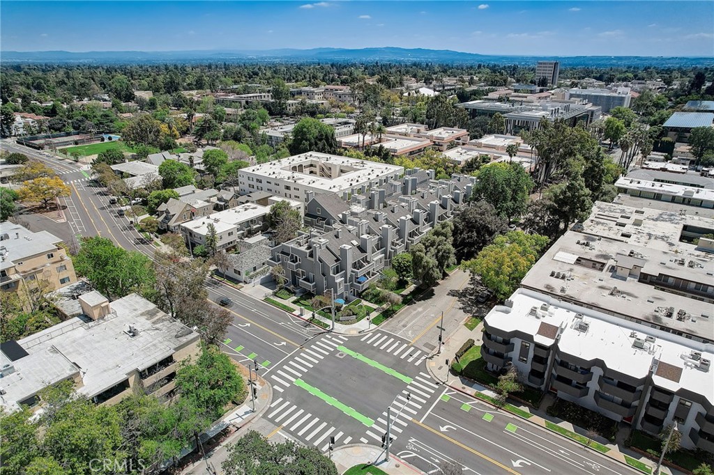 1097 Blanche Street 310