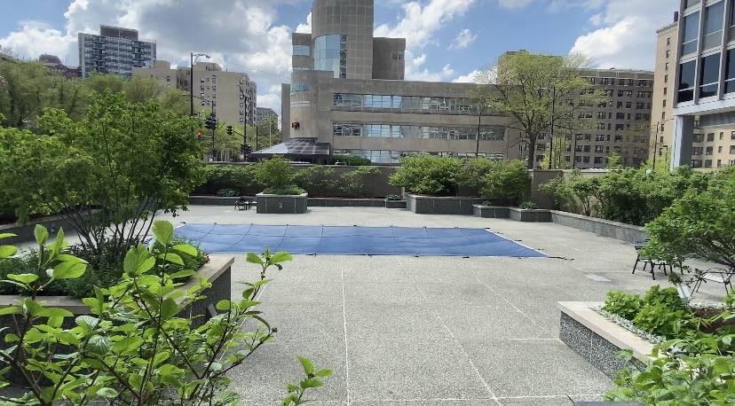 330 W Diversey Parkway Unit: 807-809