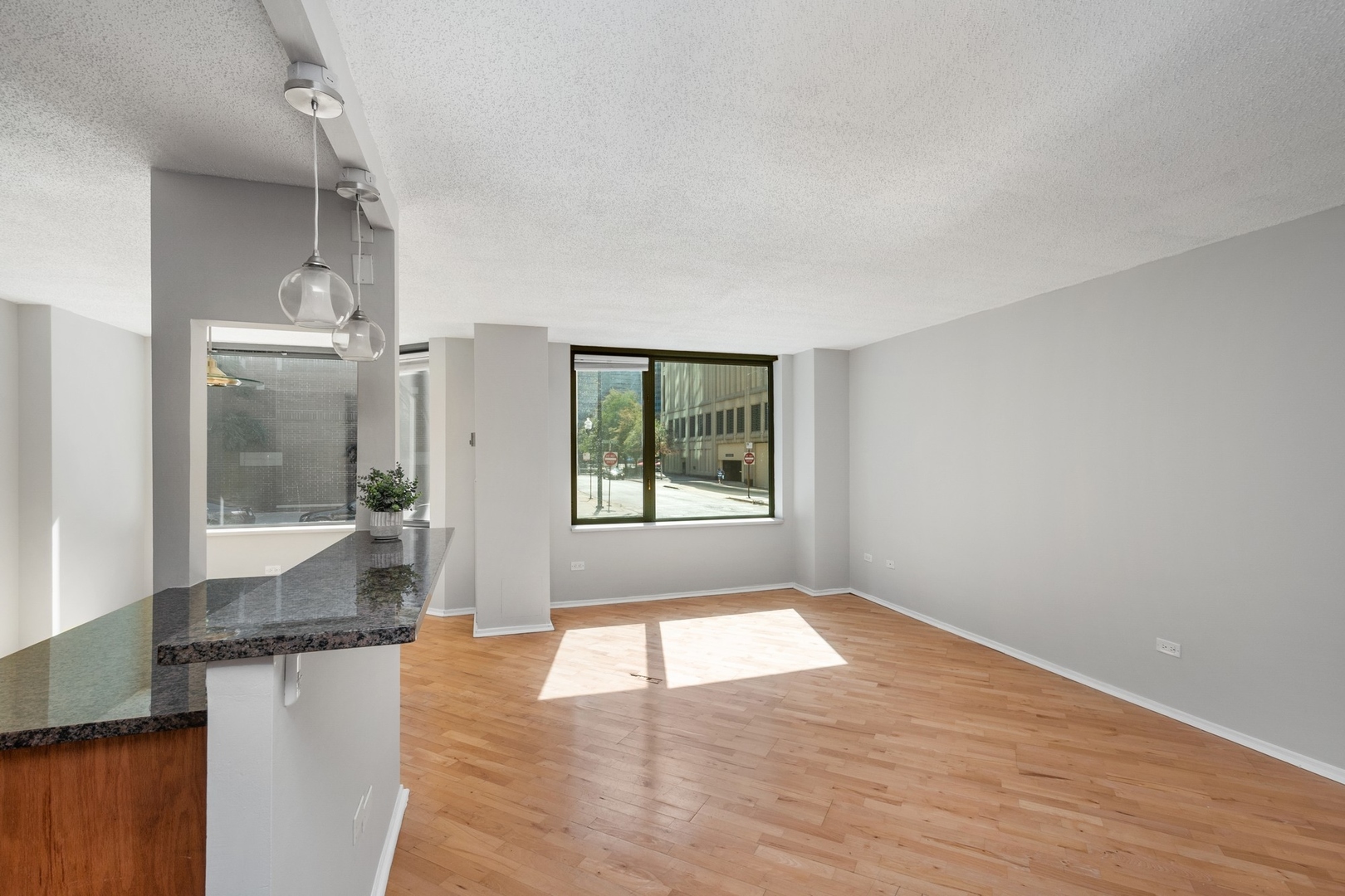 440 N MCCLURG Court Unit: 114