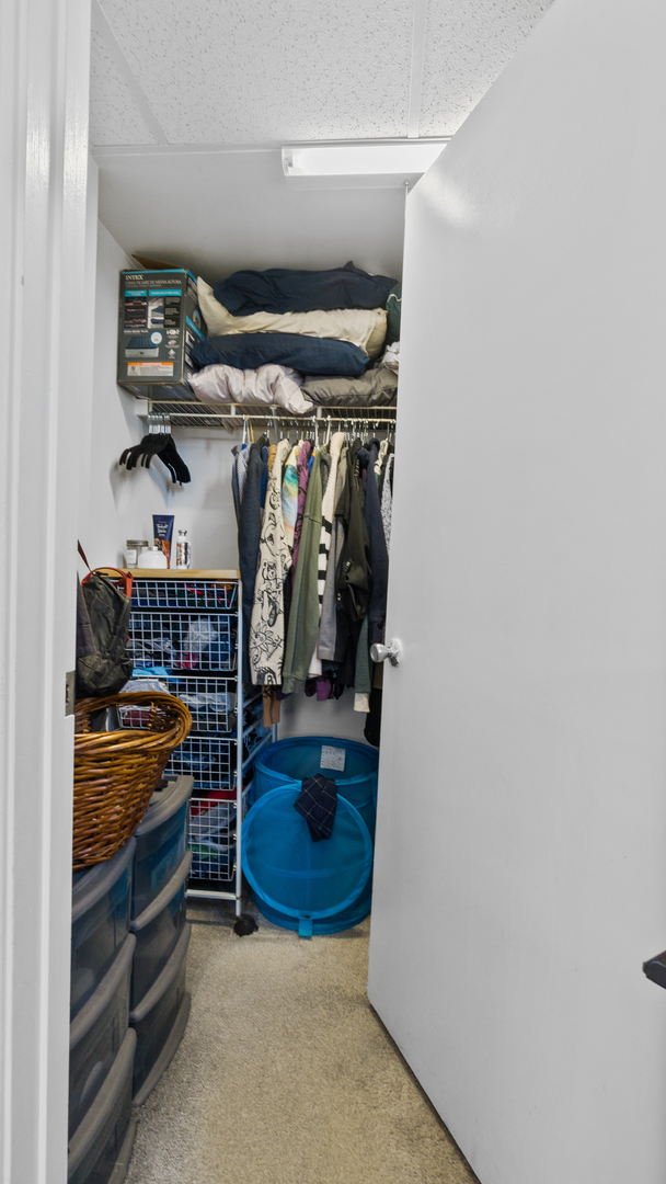 3951 N Greenview Avenue Unit: 3D