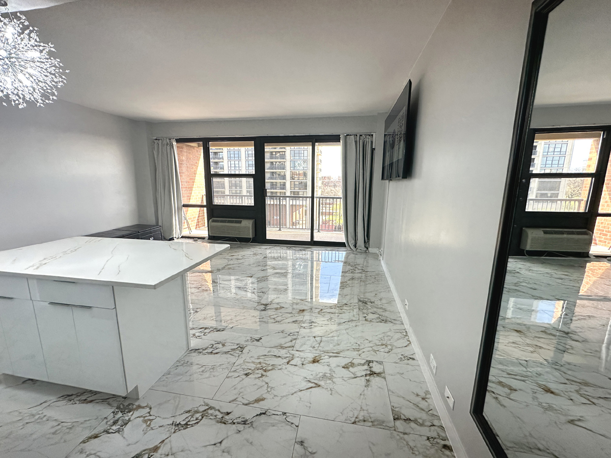 2941 S Michigan Avenue Unit: 515