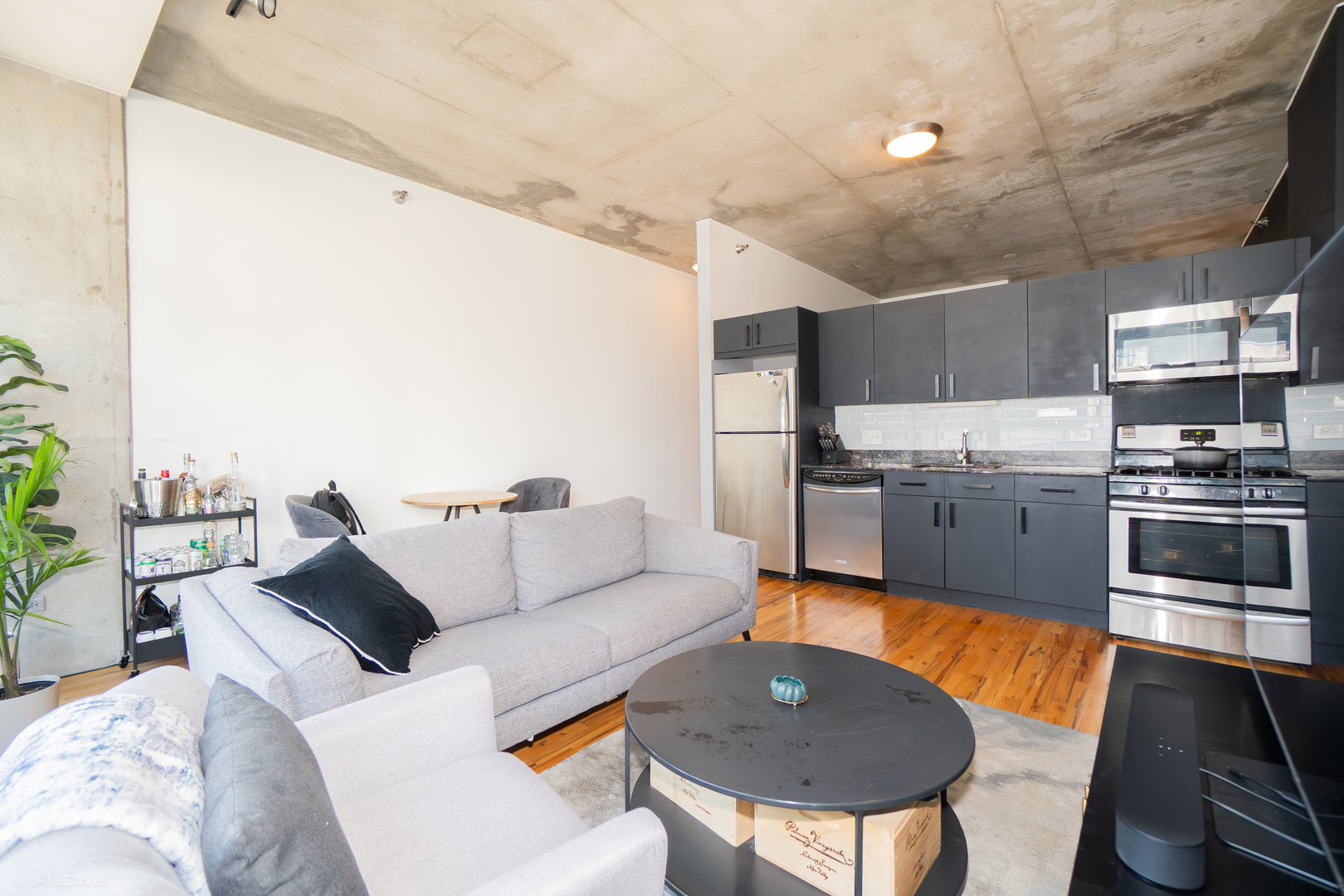 1720 S Michigan Avenue Unit: 205