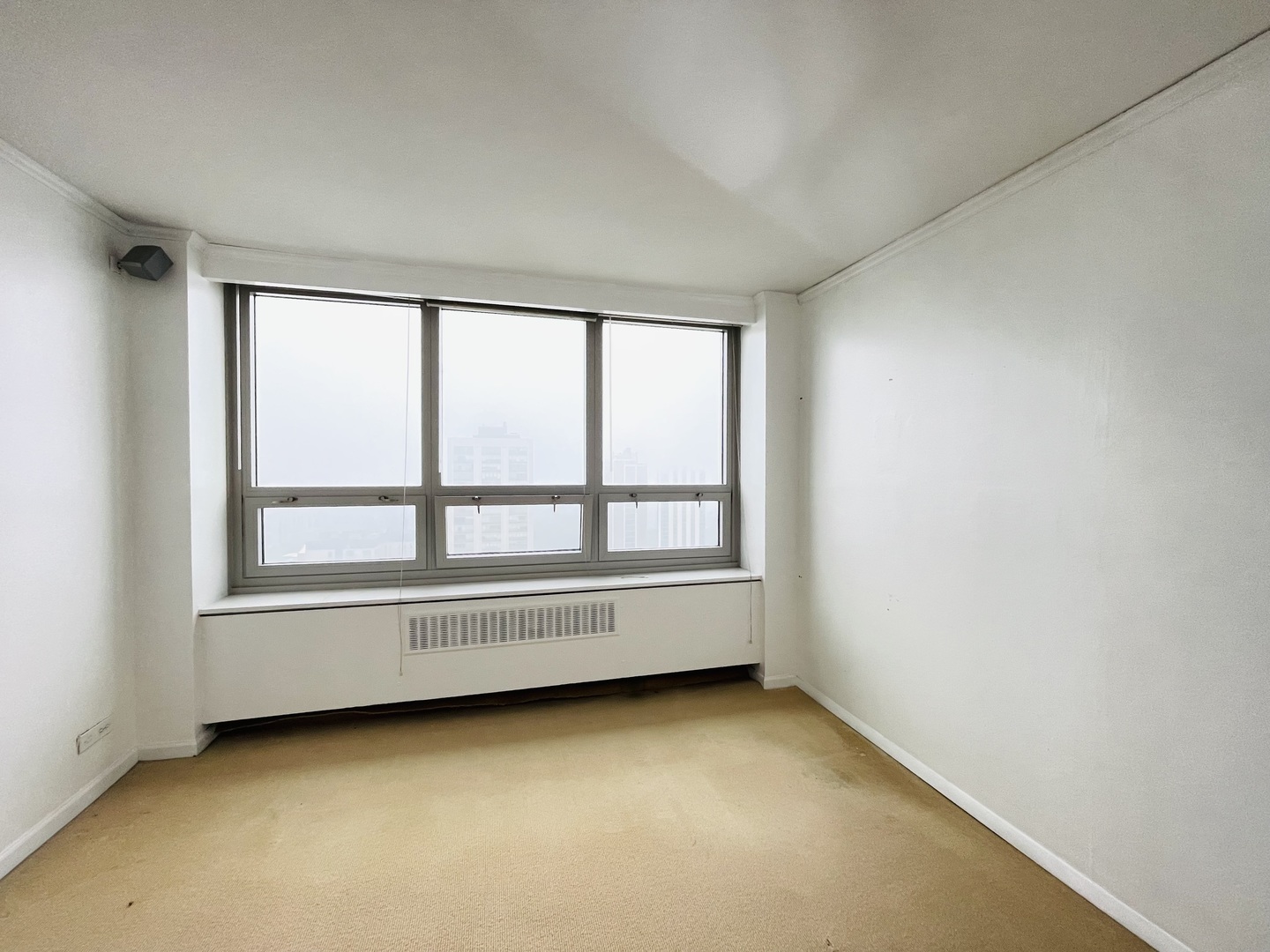 88 W SCHILLER Street Unit: 2805L