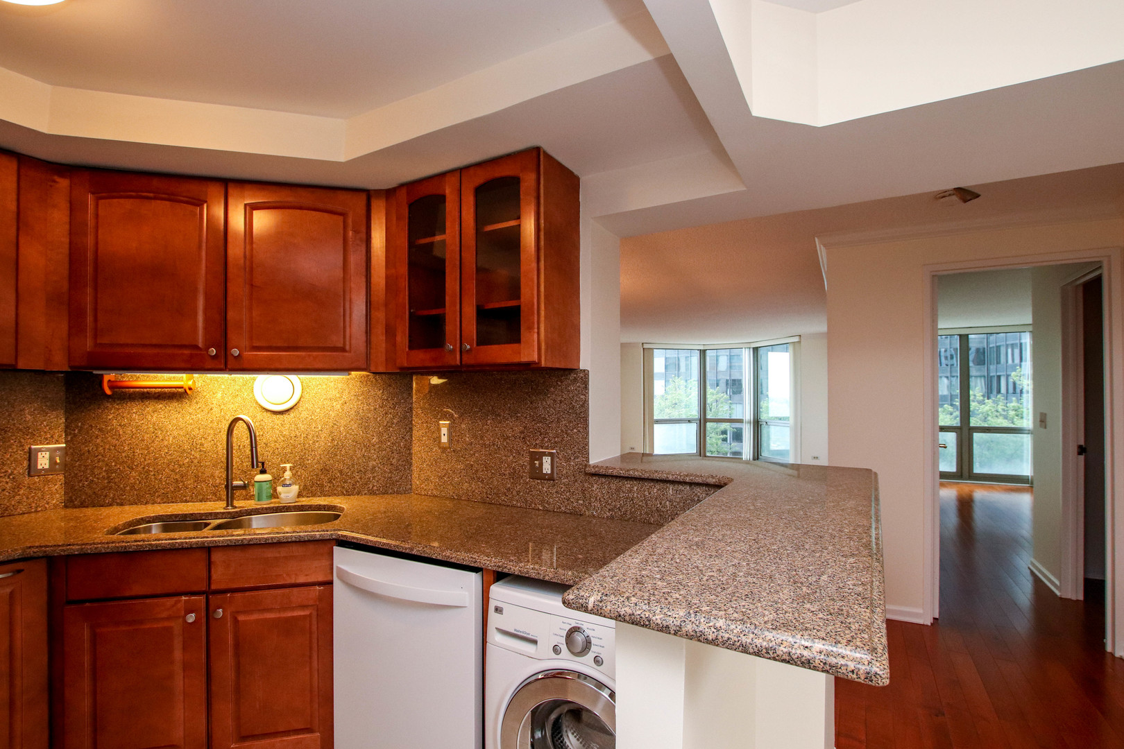 195 N Harbor Drive Unit: 505