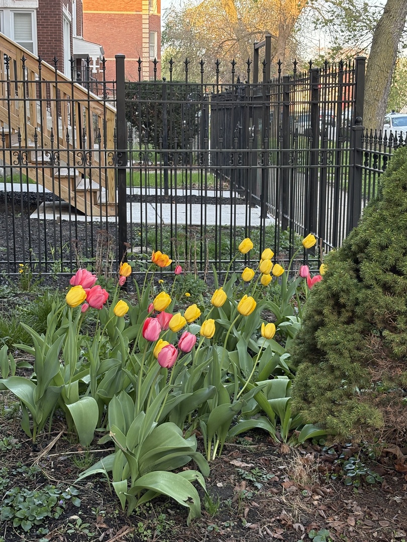 3230 W Fulton Boulevard