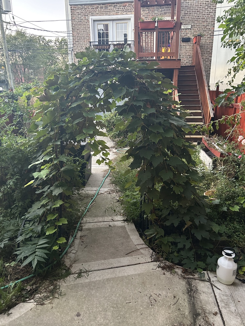 3230 W Fulton Boulevard