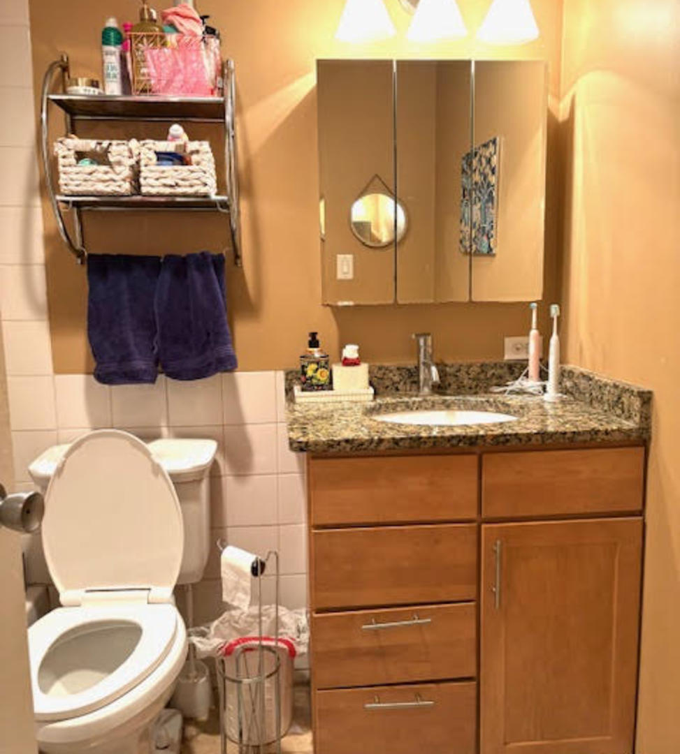 1339 N Dearborn Street Unit: 4A