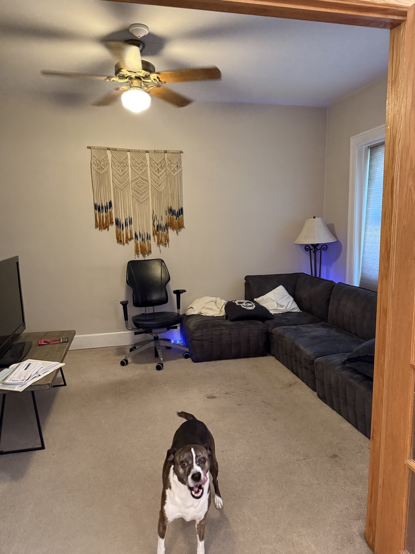 547 W Brompton Avenue Unit: 1N