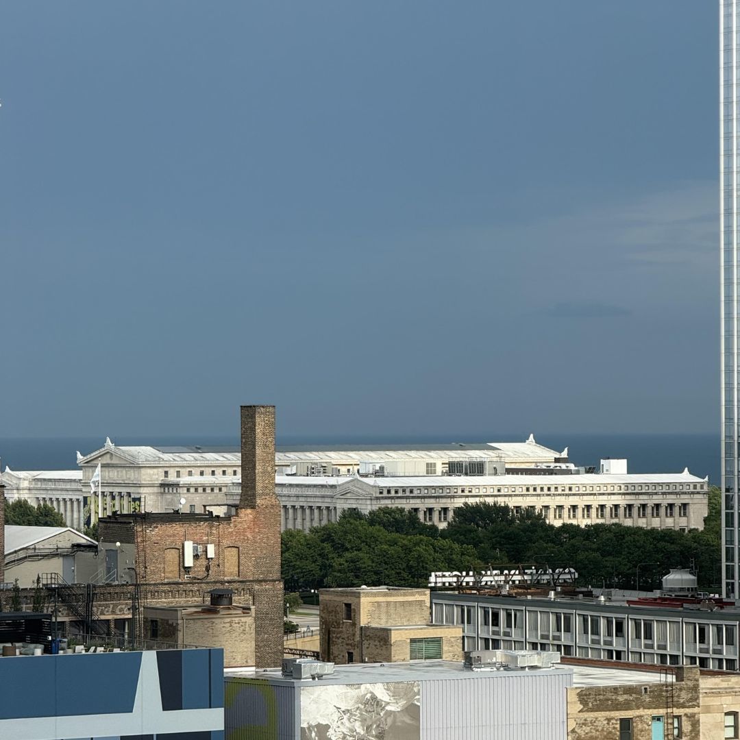 899 S PLYMOUTH Court Unit: 1408