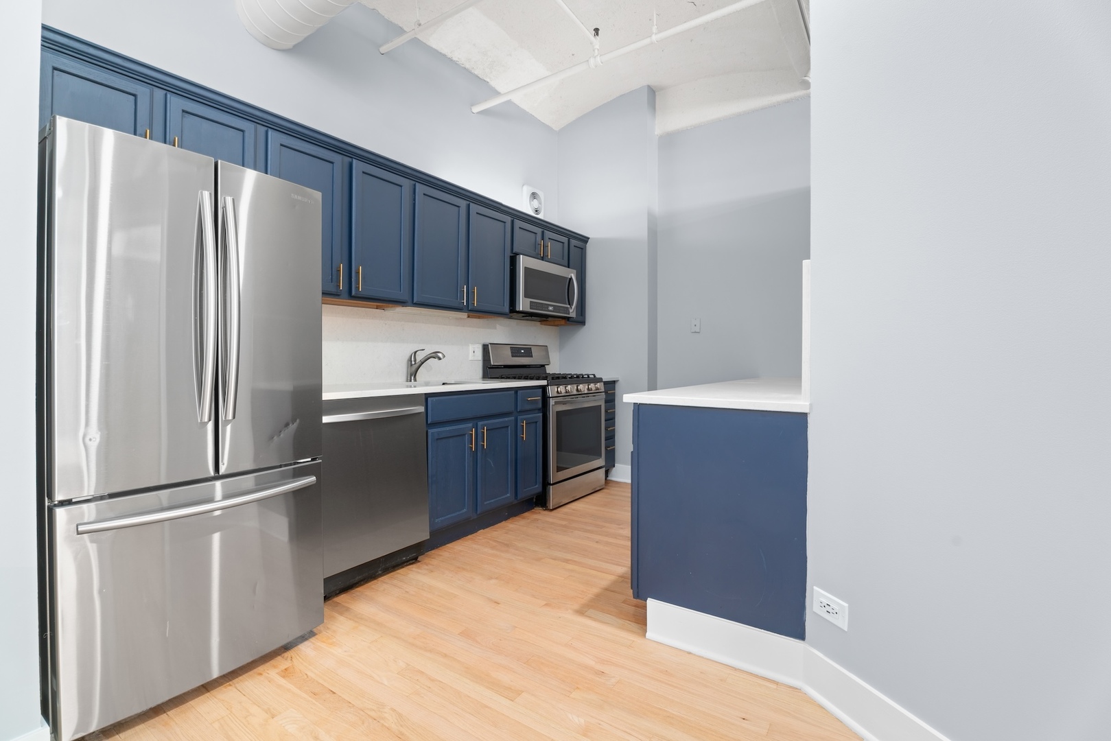 633 S Plymouth Court Unit: 1009