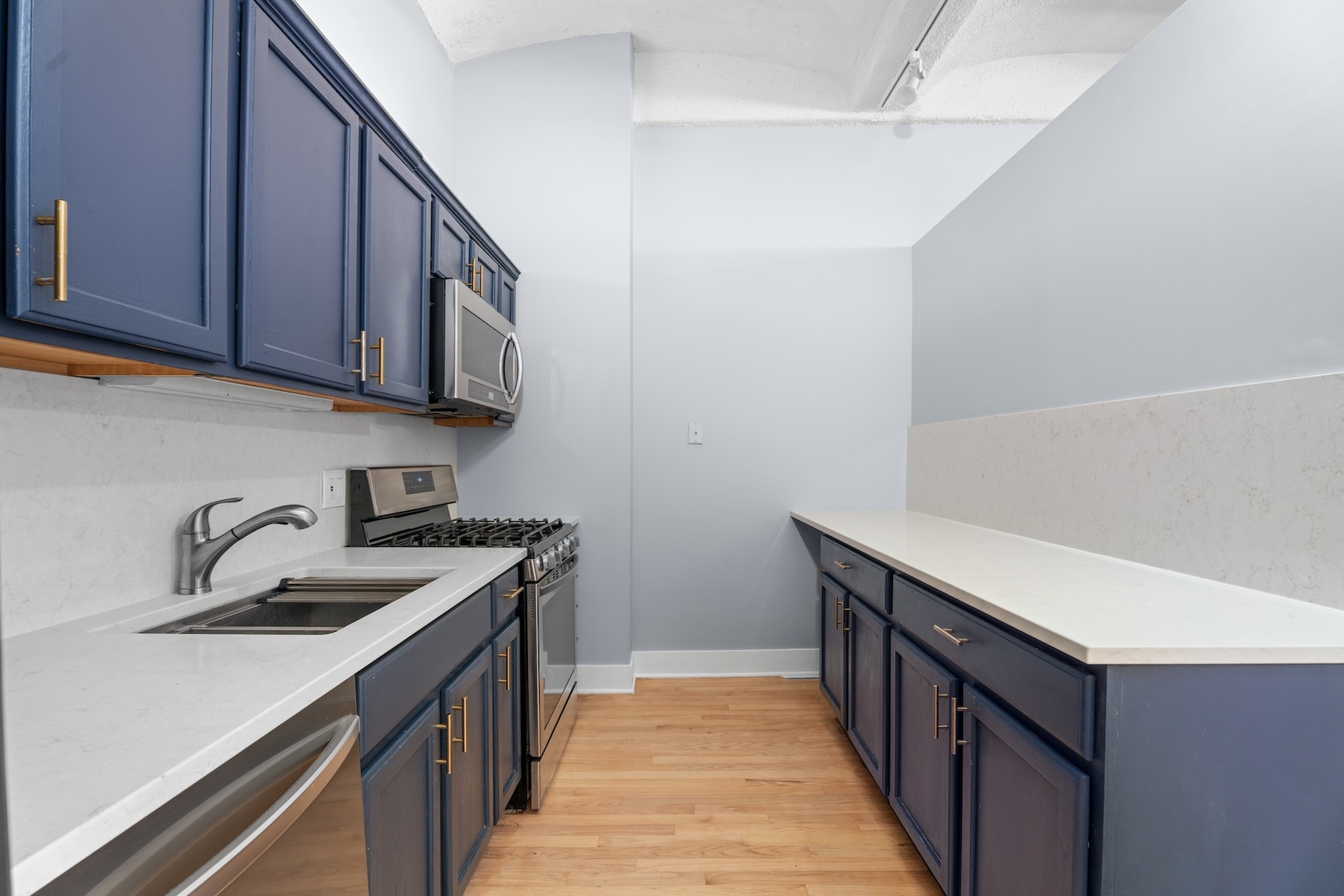633 S Plymouth Court Unit: 1009