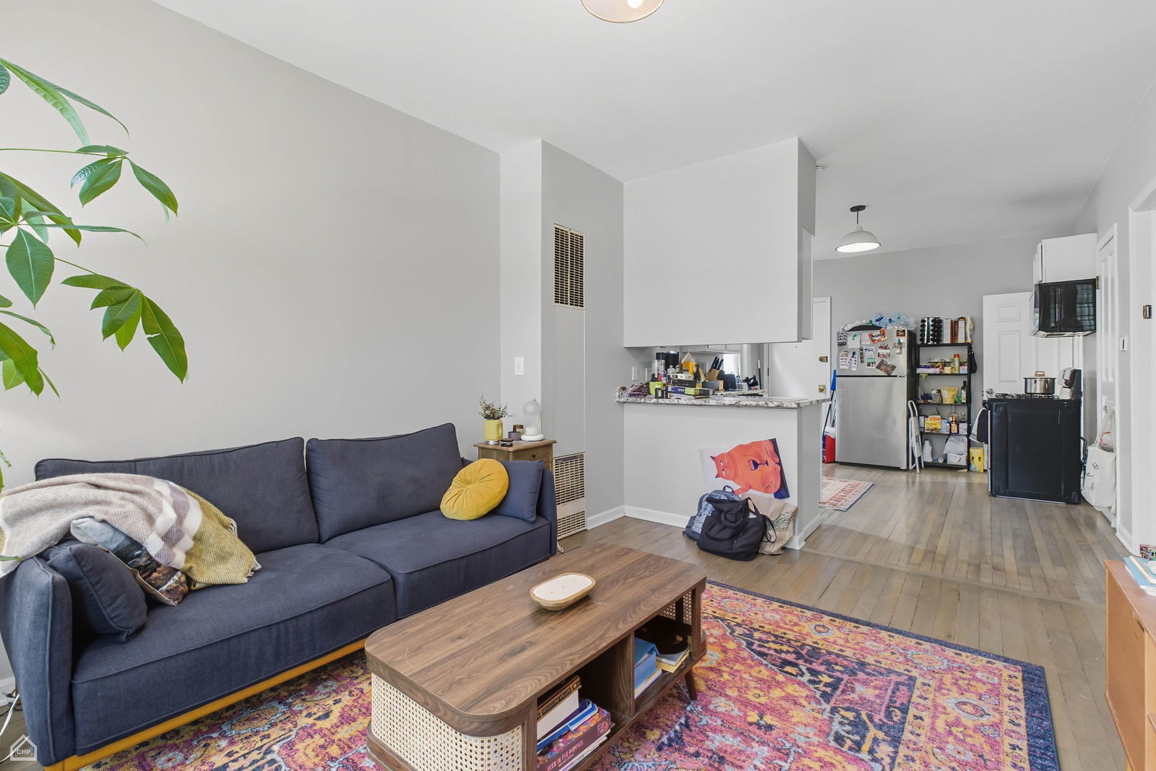 1036 N Honore Street