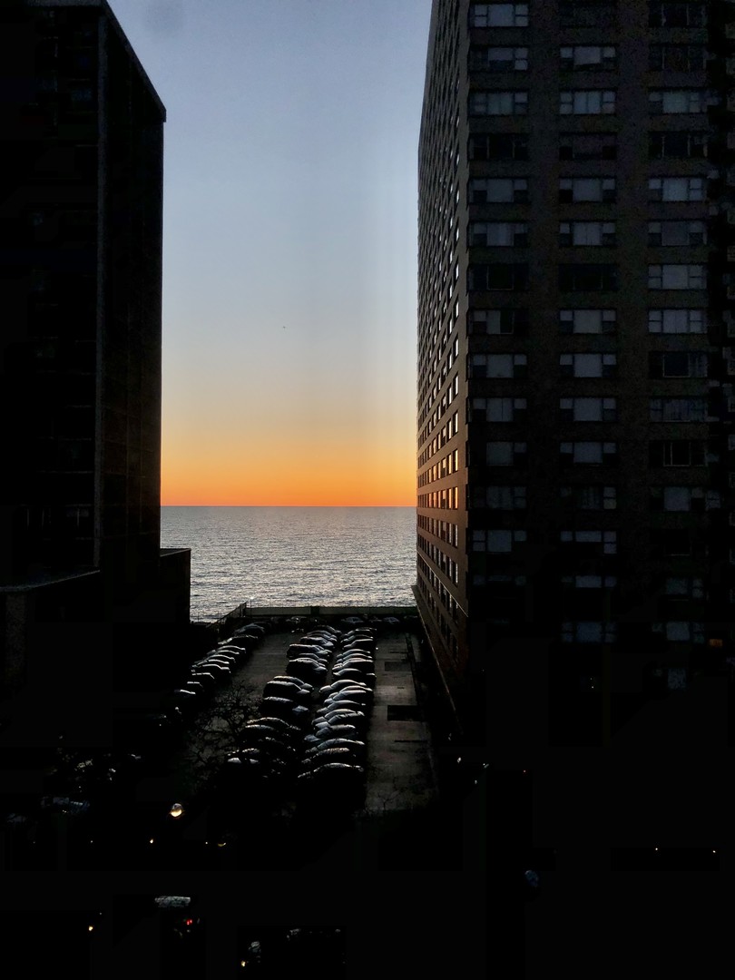 6300 N Sheridan Road Unit: 710