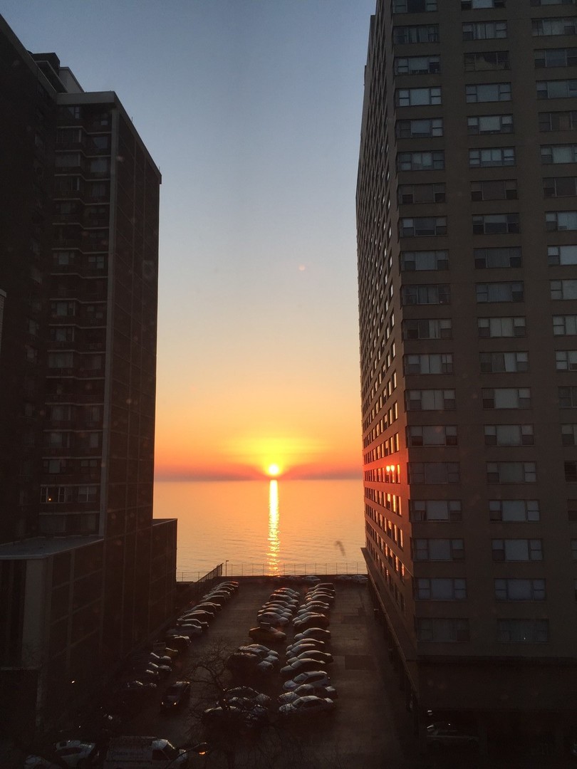 6300 N Sheridan Road Unit: 710