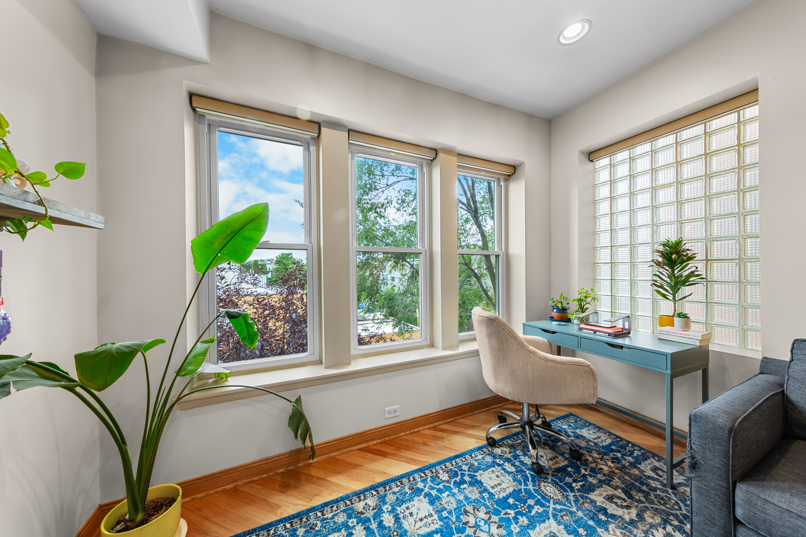 1005 N Campbell Avenue Unit: 3