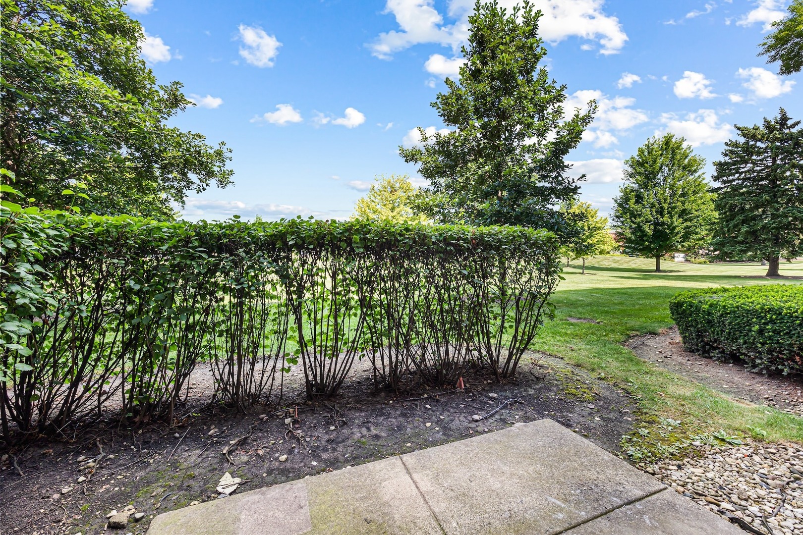 220 S ROSELLE Road Unit: 103