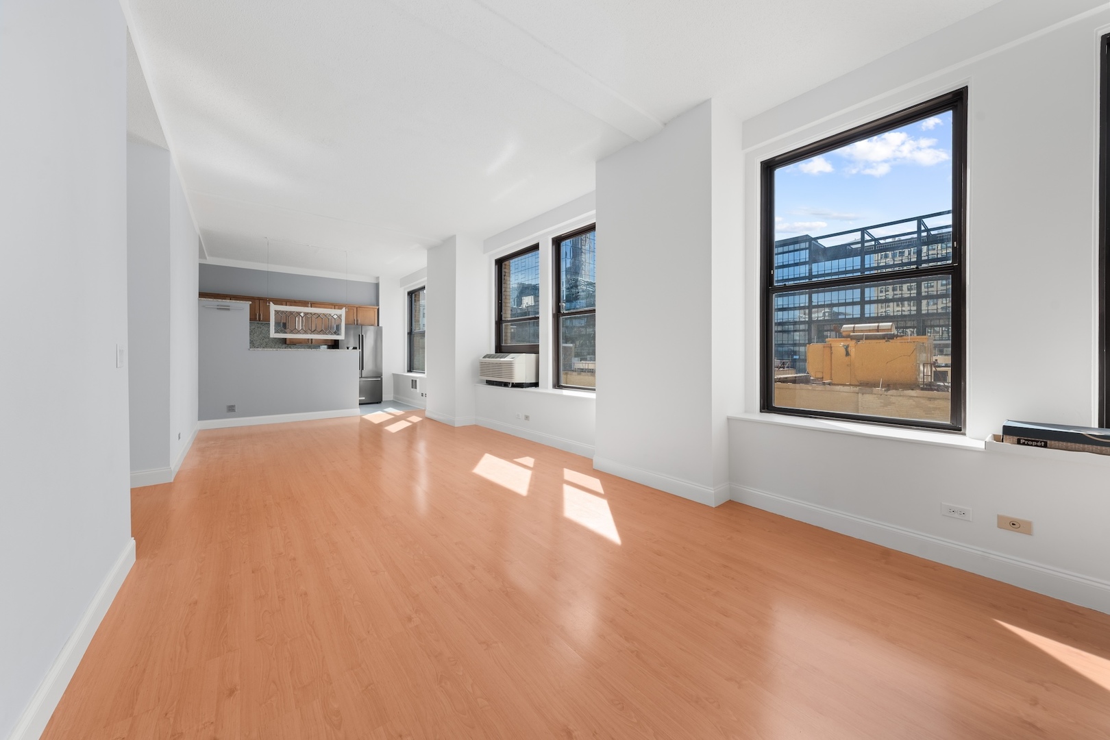 600 S Dearborn Street Unit: 1007