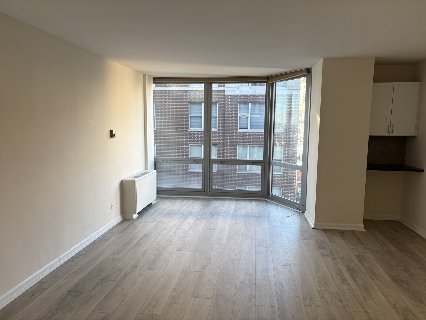 21 W Goethe Street Unit: 15E