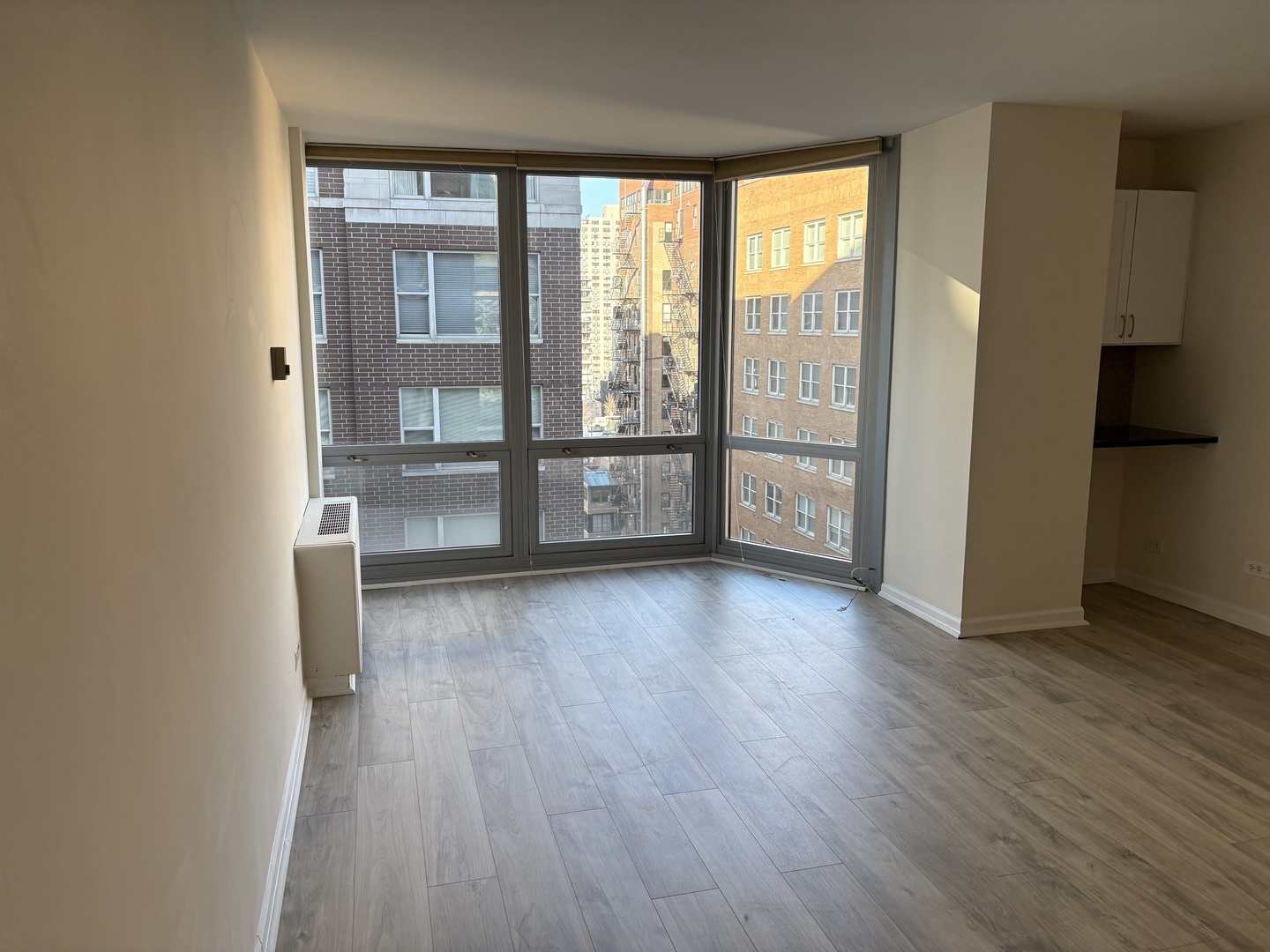 21 W Goethe Street Unit: 15E