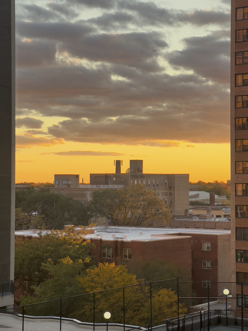 6033 N Sheridan Road Unit: 7C