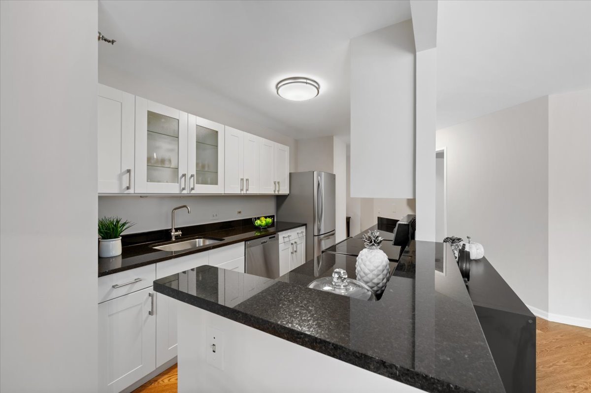 480 N McClurg Court Unit: 1219