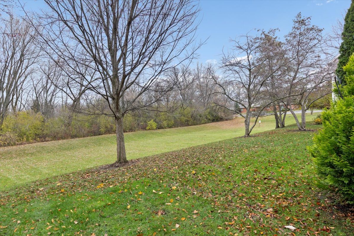 56 W Briarwood Drive
