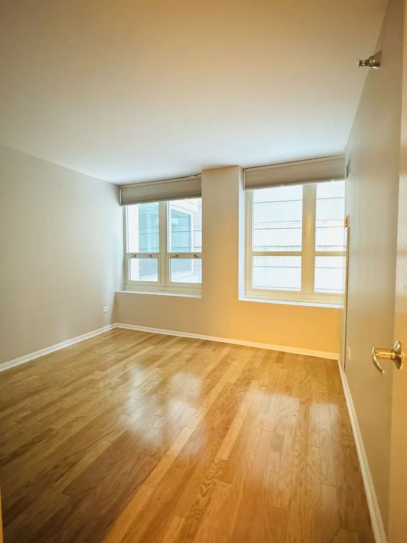 345 N LaSalle Drive Unit: 306