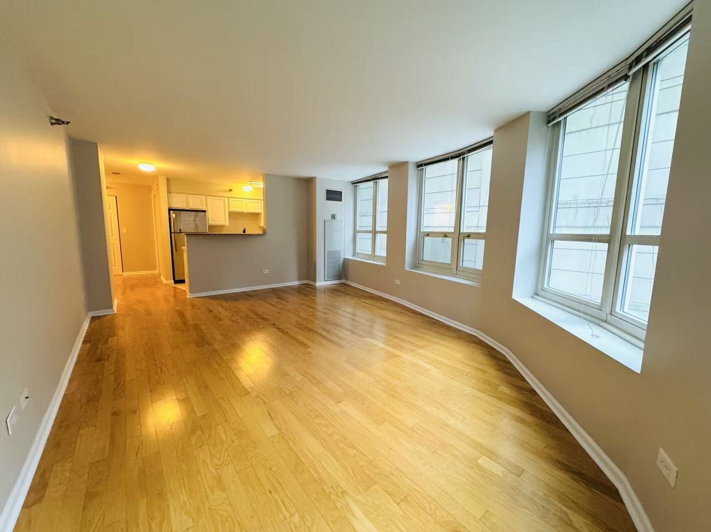 345 N LaSalle Drive Unit: 306