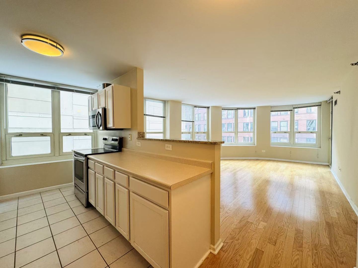 345 N LaSalle Drive Unit: 306