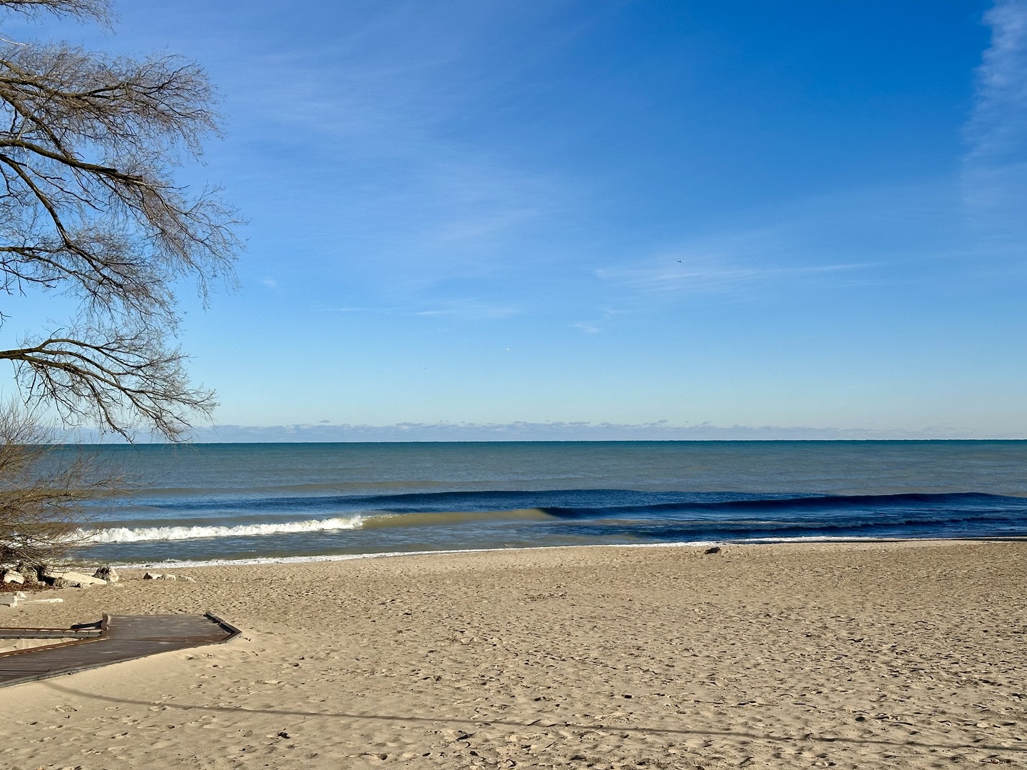 6540 N Glenwood Avenue Unit: 302