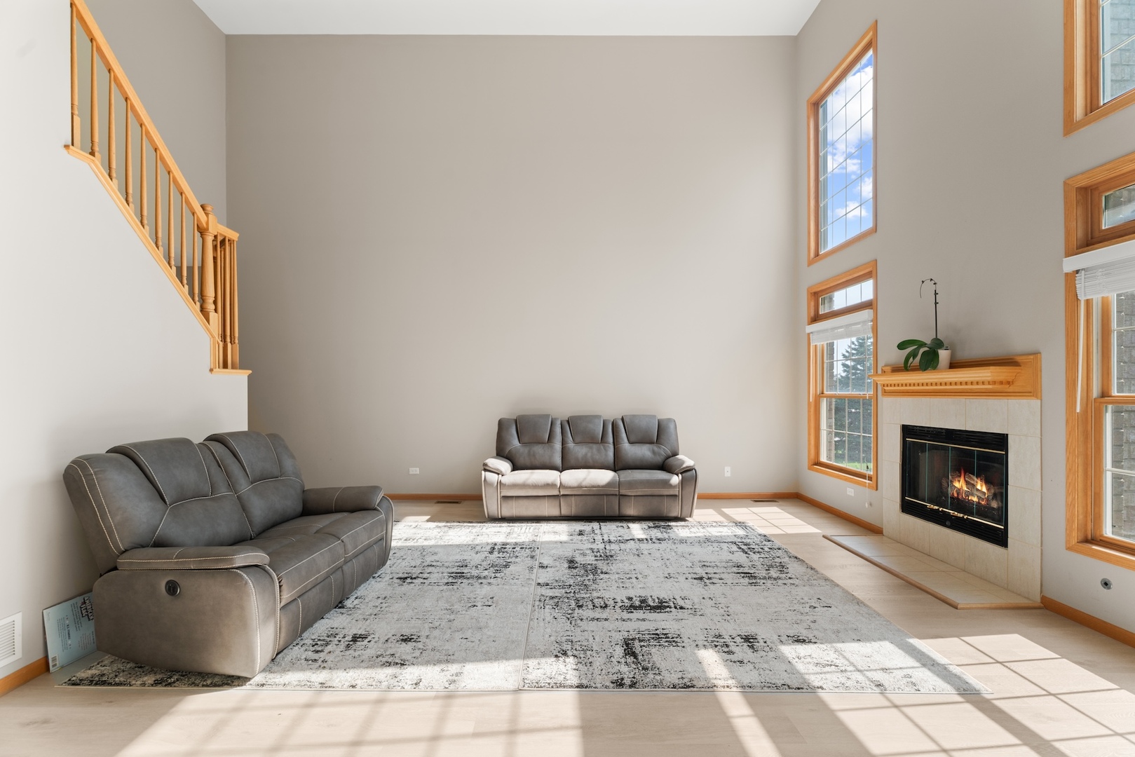 8735 Golden Rose Drive