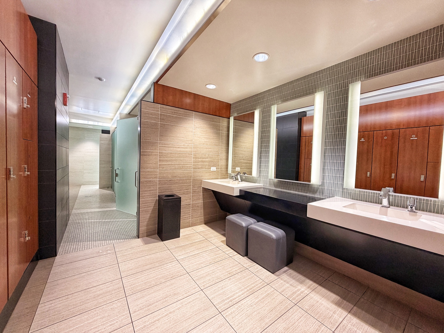 175 E Delaware Place Unit: 5808